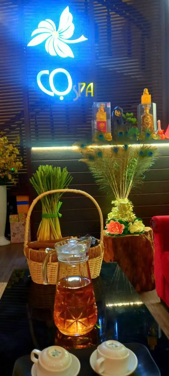 Cọ Spa 39 CHU VĂN AN _ Huế - Photo 1